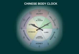 Chinese Body Clock
