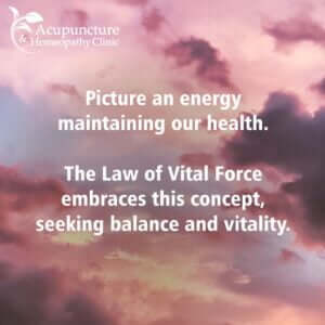 Homeopathy's Foundational Principles